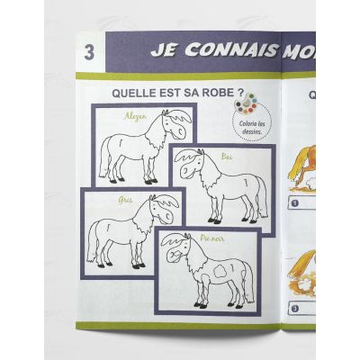 Cahier de cavalier nature poney - extrait 