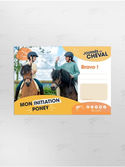 Baptême initiation poney - Journée du cheval