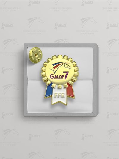 Insigne Galop® 7