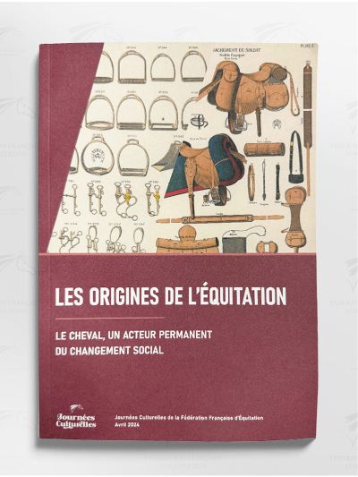 LES ORIGINES DE L'EQUITATION